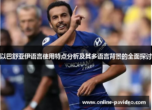 以巴舒亚伊语言使用特点分析及其多语言背景的全面探讨